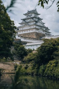 21 Image 21