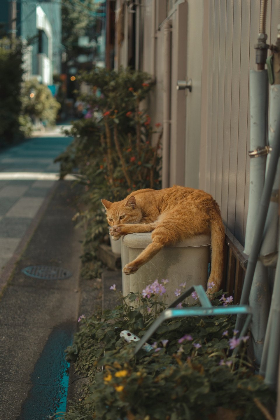 9 Image 9