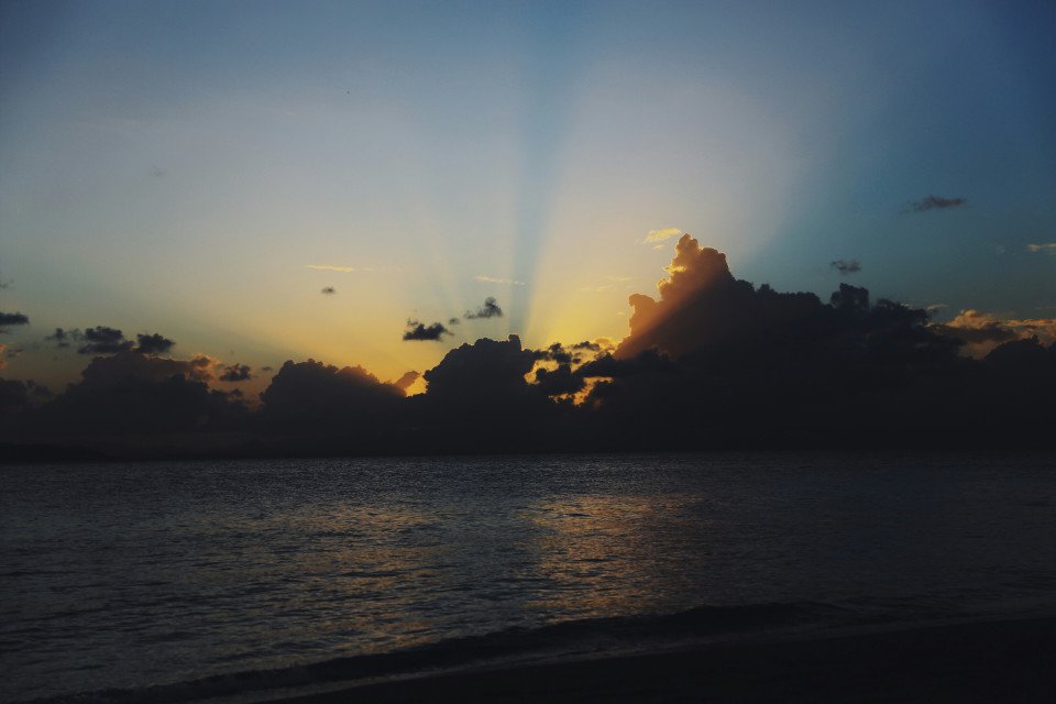 5 Image 5