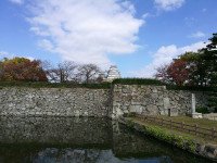 6 Image 6