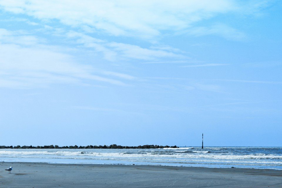 1 Image 1
