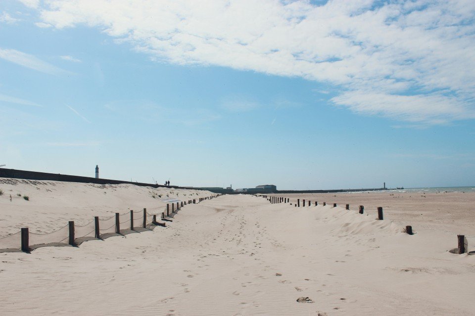 8 Image 8