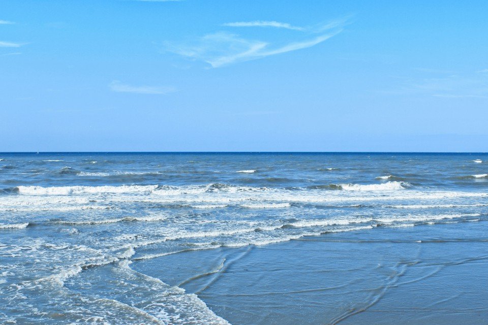 12 Image 12