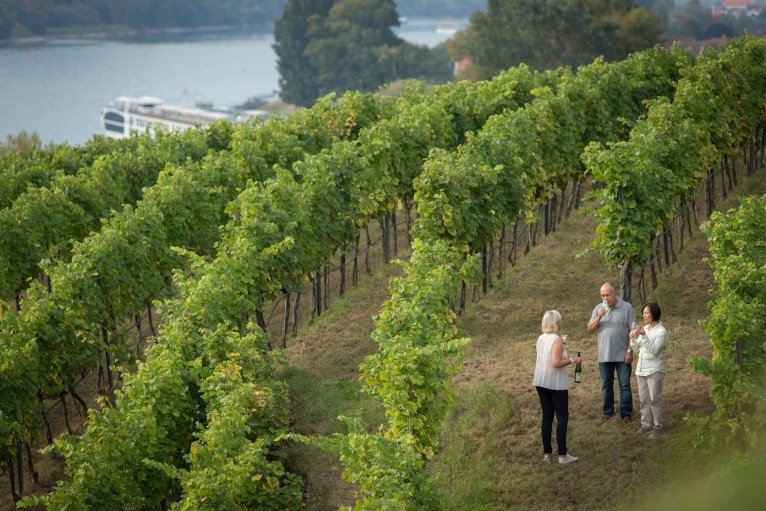 UNIWORLD Boutique River Cruises gallery image