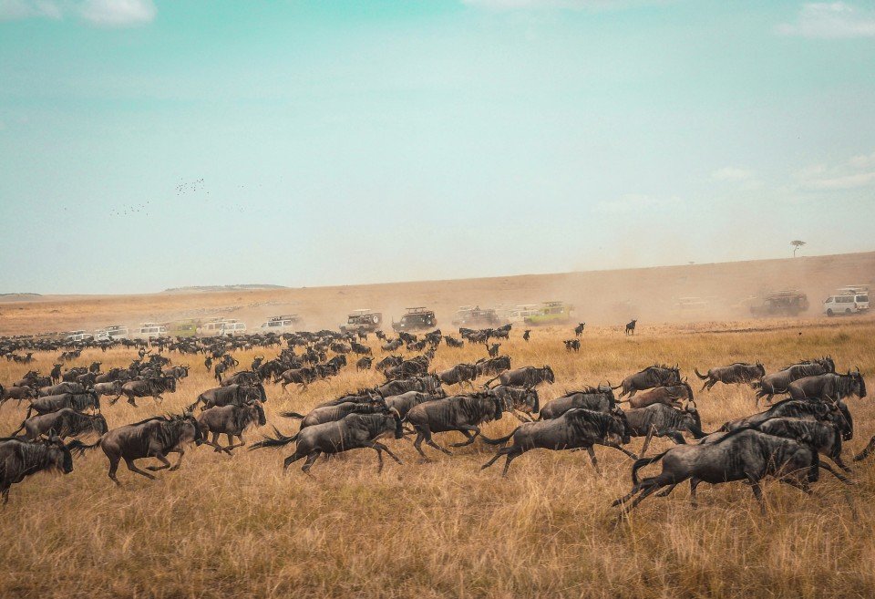 Maasai Mara National Reserve cruise port