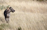Etosha National Park cruise port