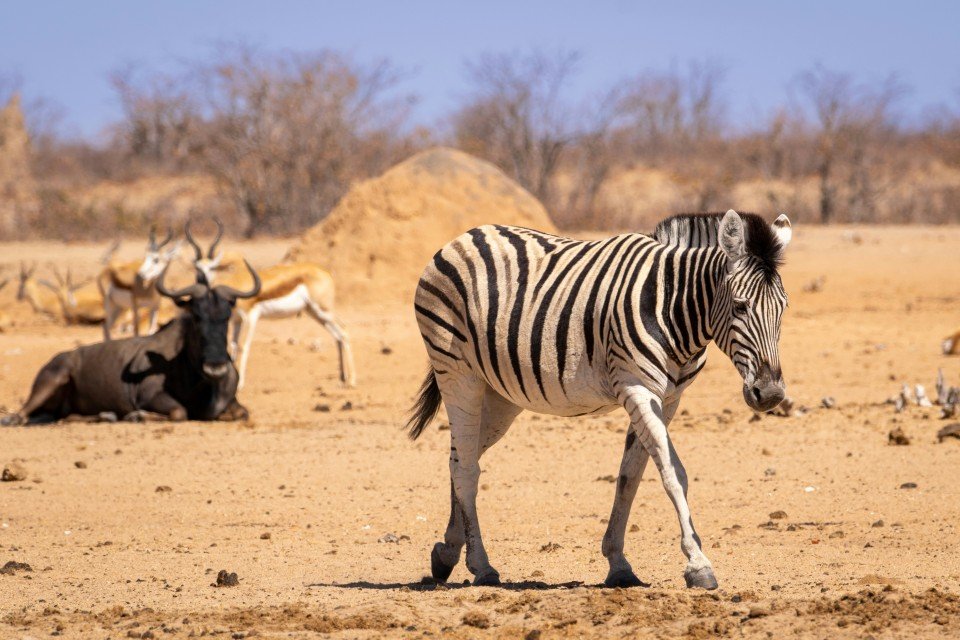 Namibia