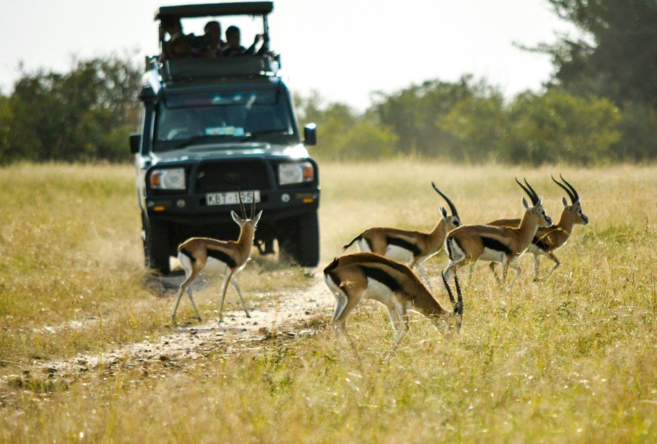 Maasai Mara National Reserve cruise port