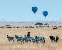 Maasai Mara National Reserve cruise port