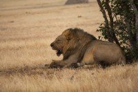 Etosha National Park cruise port
