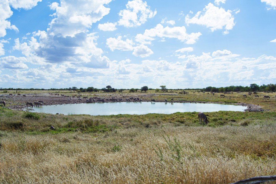 Etosha National Park cruise port