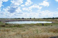 Etosha National Park cruise port