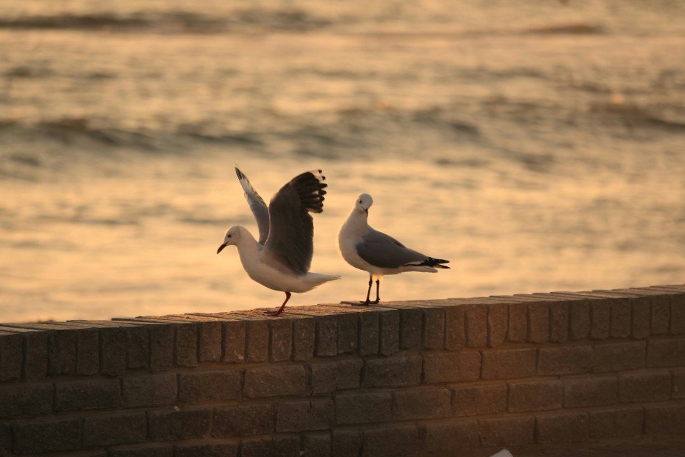 Swakopmund cruise port