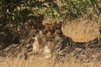 Etosha National Park cruise port