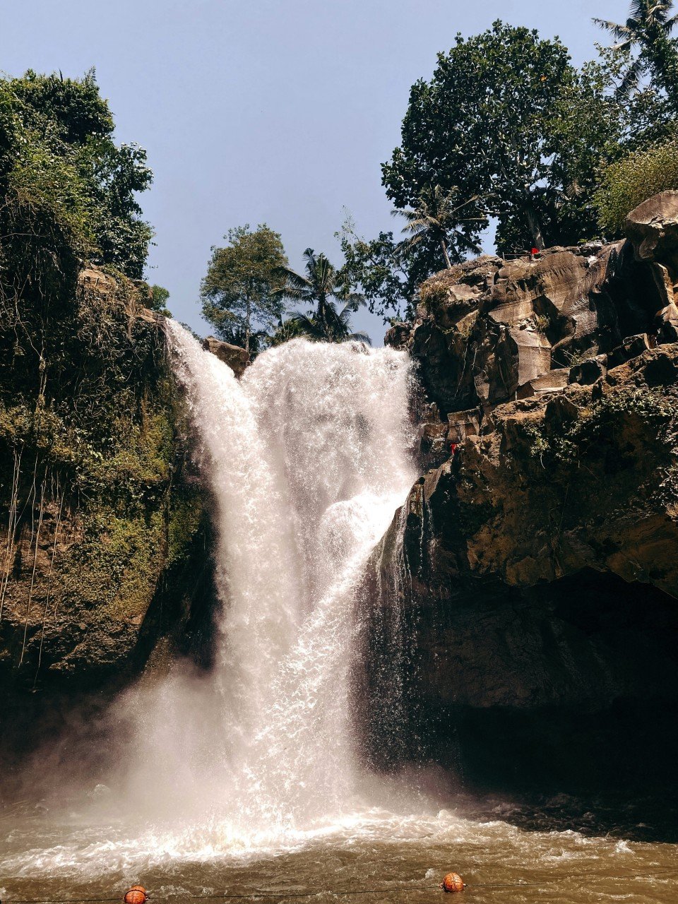 7 Image 7