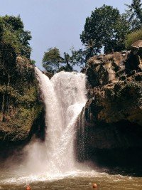 7 Image 7