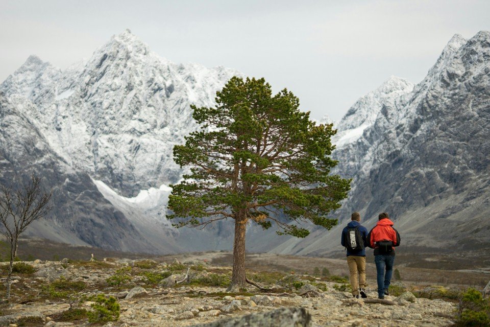 Lyngen Alps cruise port