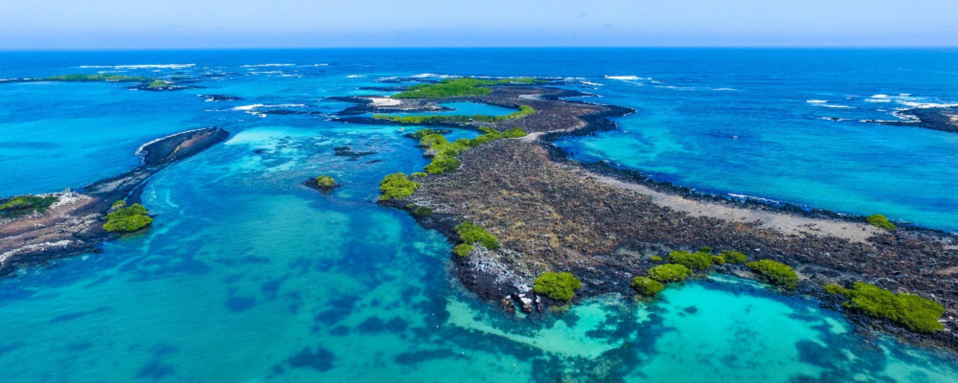 Galápagos Islands Expedition Cruise Guide for 2026