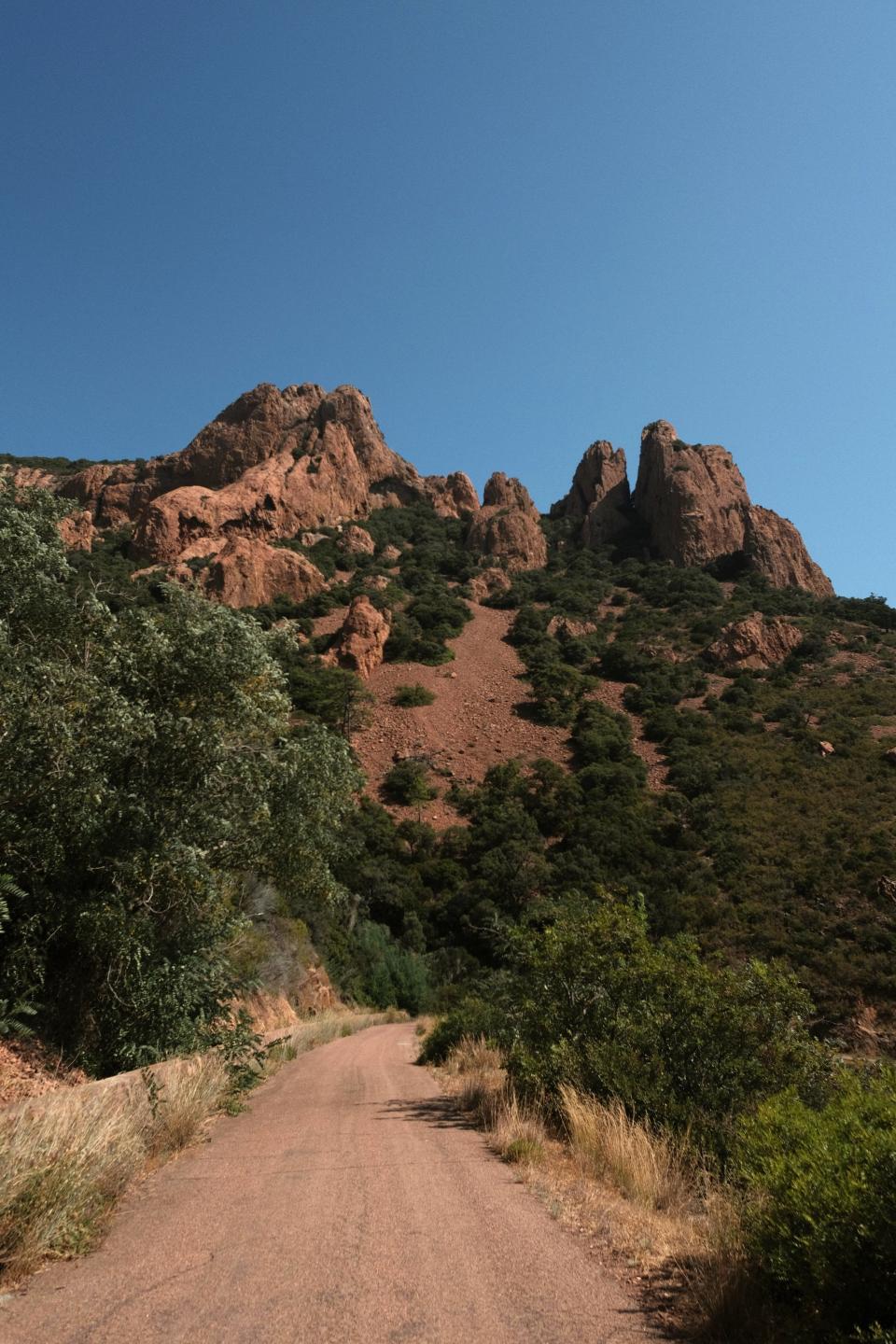 12 Image 12