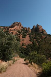 12 Image 12