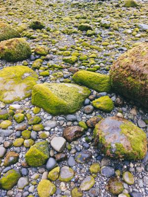 The best of Chilean Fjords