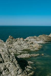 5 Image 5