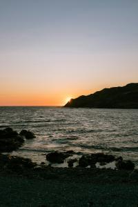 7 Image 7