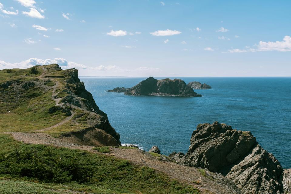 3 Image 3