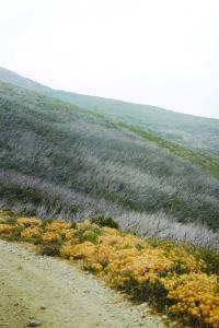 3 Image 3