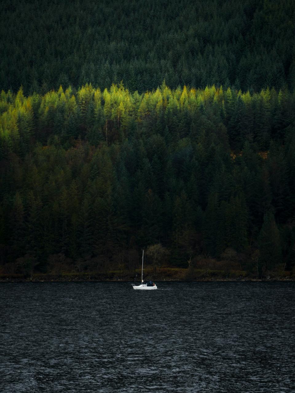6 Image 6