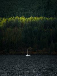 6 Image 6