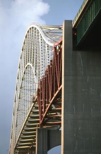 9 Image 9
