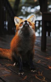 7 Image 7