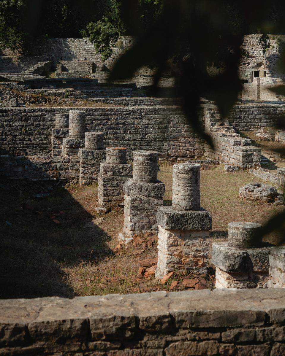 12 Image 12
