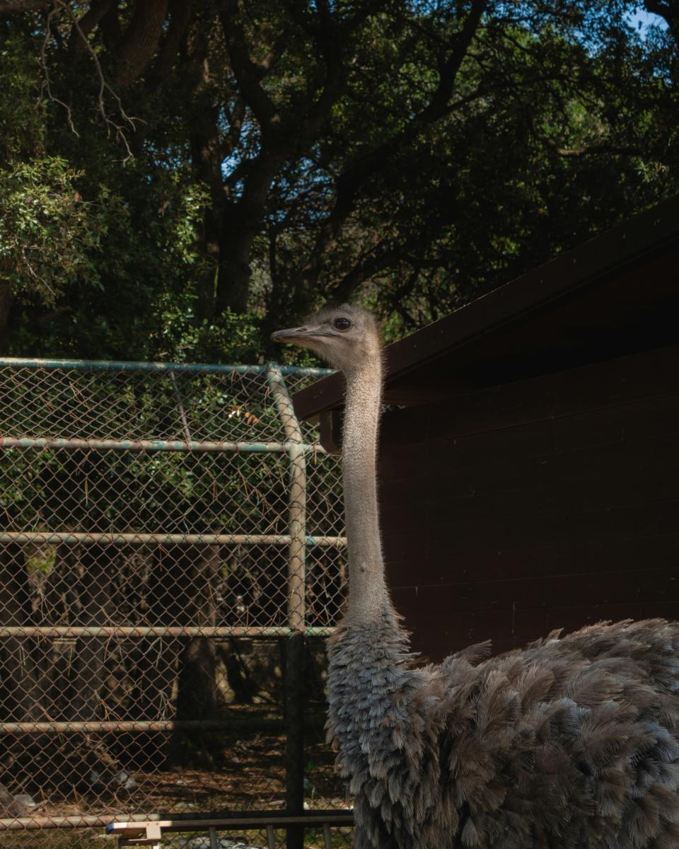 9 Image 9