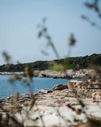 11 Image 11