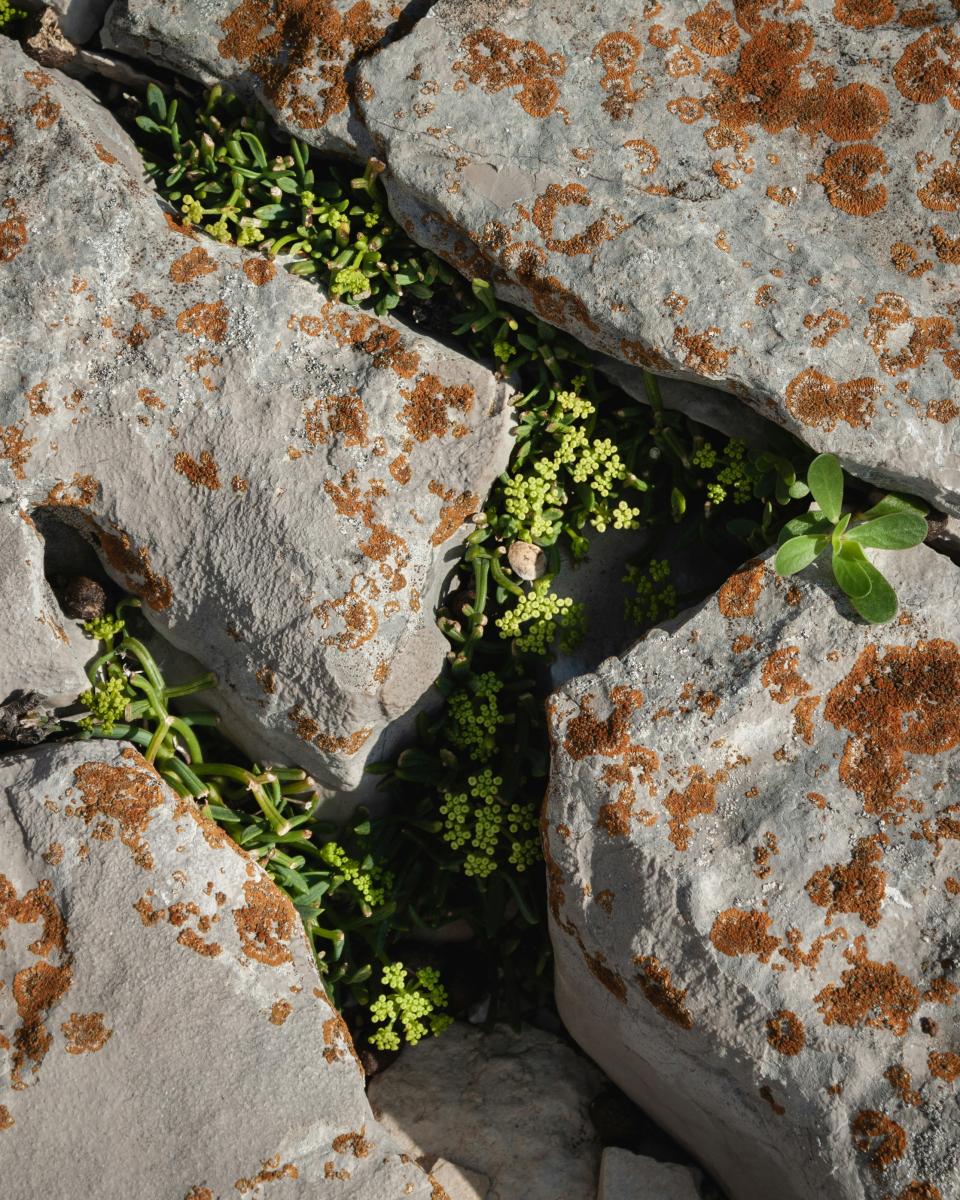 10 Image 10