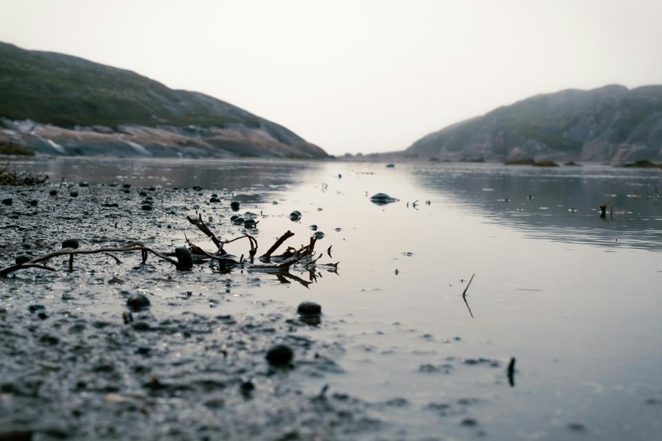 7 Image 7