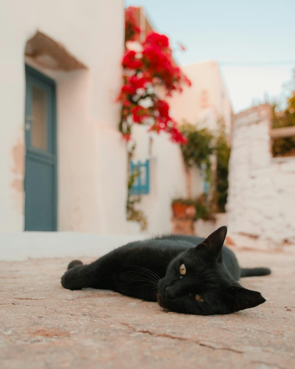 Tinos cruise port