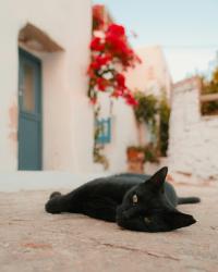 Tinos cruise port