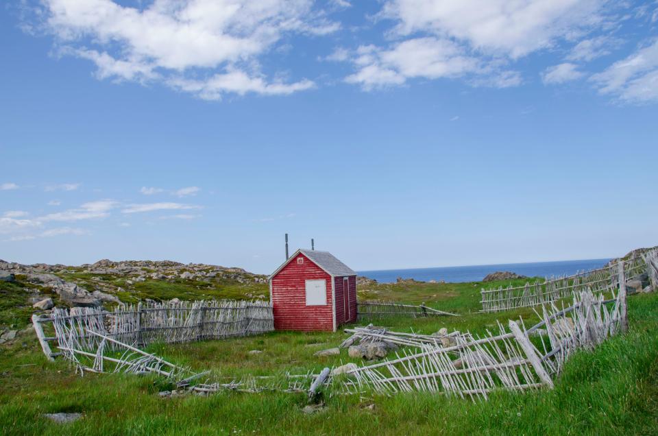 11 Image 11