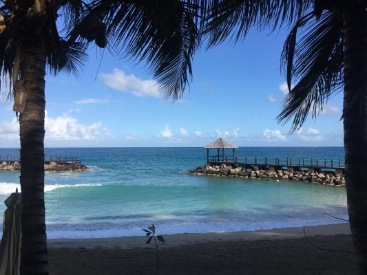 Gliding the Waters of the Windward Islands
