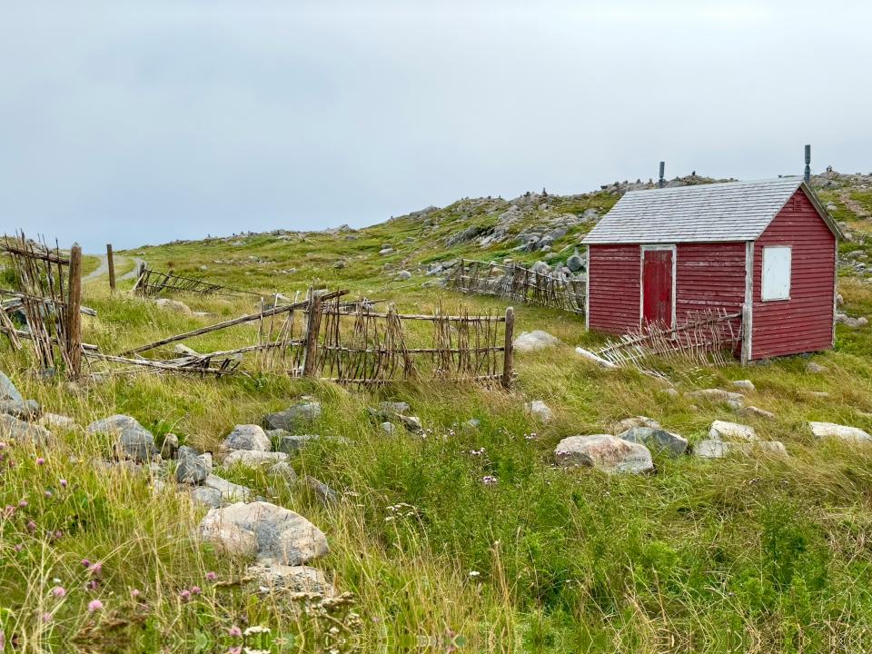 12 Image 12