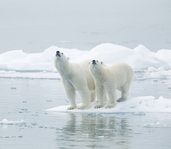 Svalbard