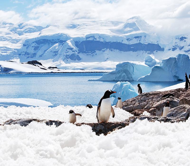 Antarctica