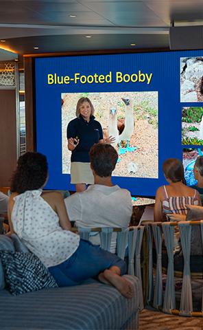 Experiences_Lecture_5_296x480