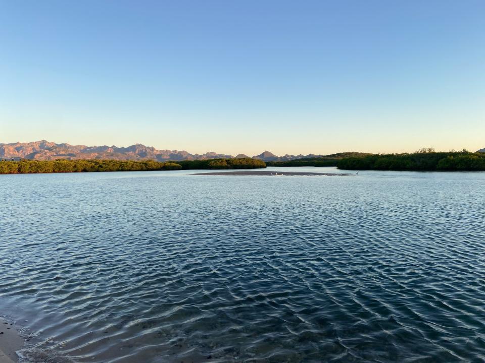 6 Image 6