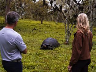 Expedition Experiences on Silver Origin