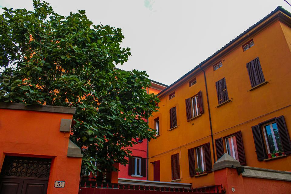 7 Image 7