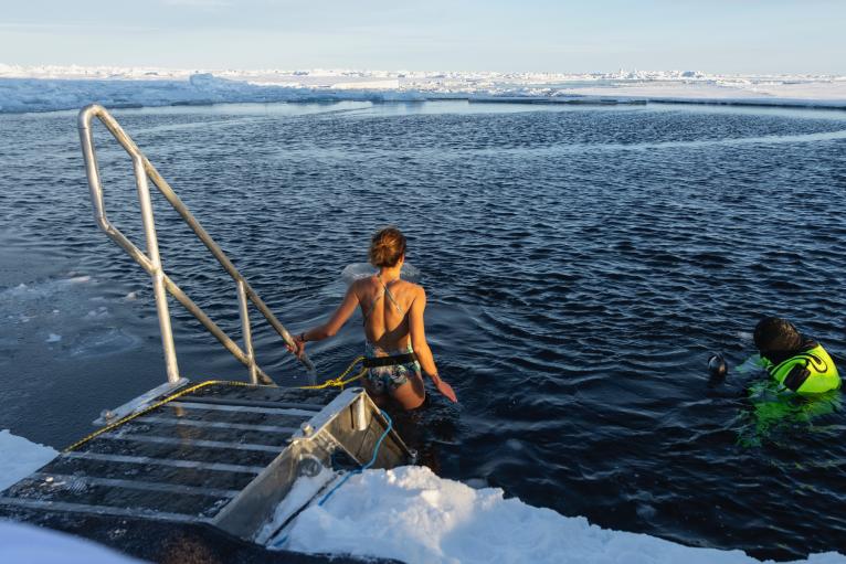 Polar plunge